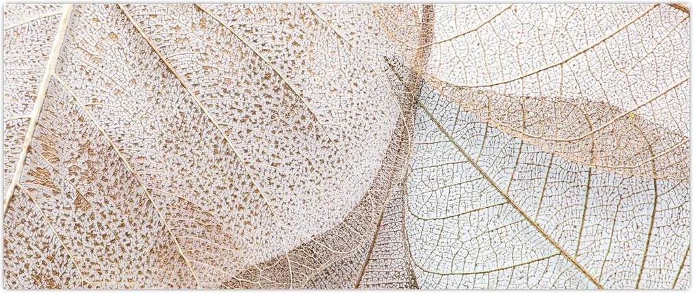 Tablou - Frunze bej (120x50 cm)