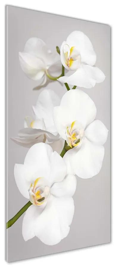 Fotografie imprimată pe sticlă Alb orhidee