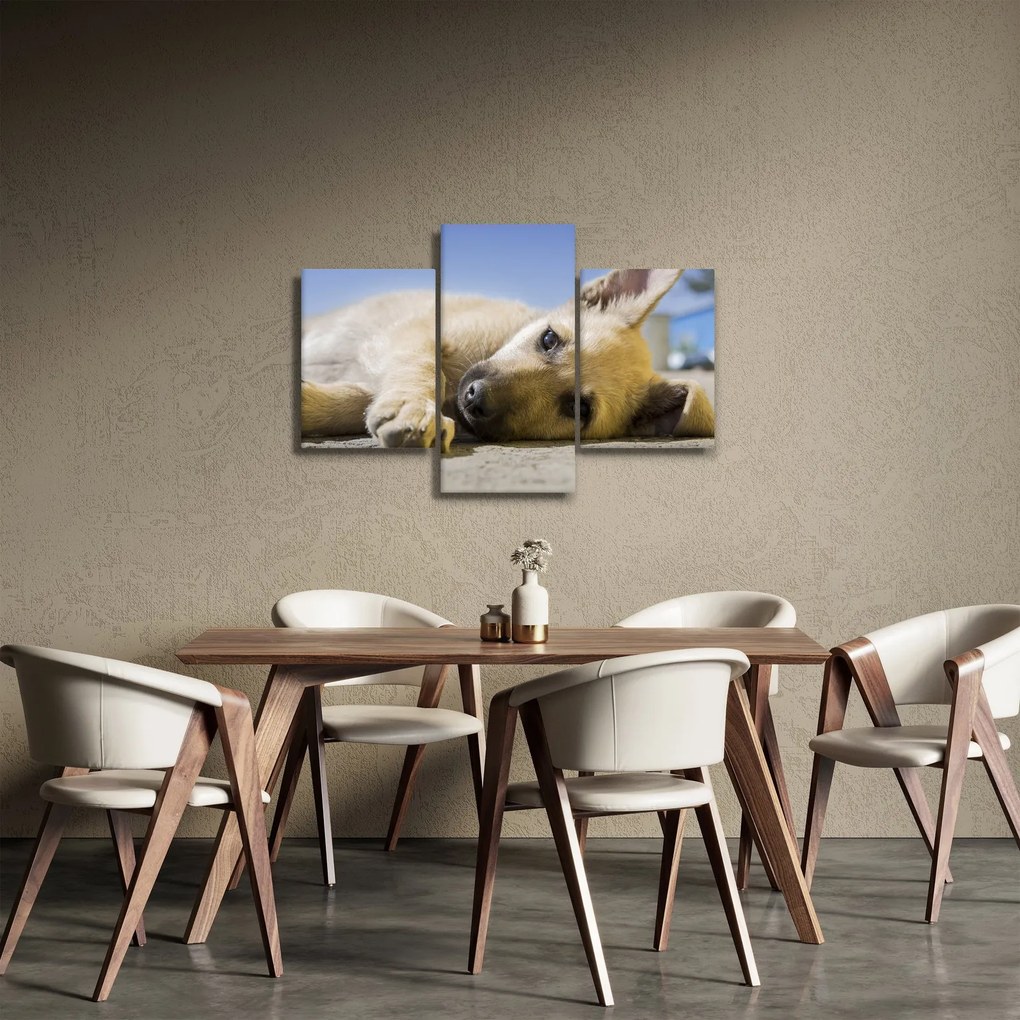 Tablou cu cățeluș dormind (90x60 cm)