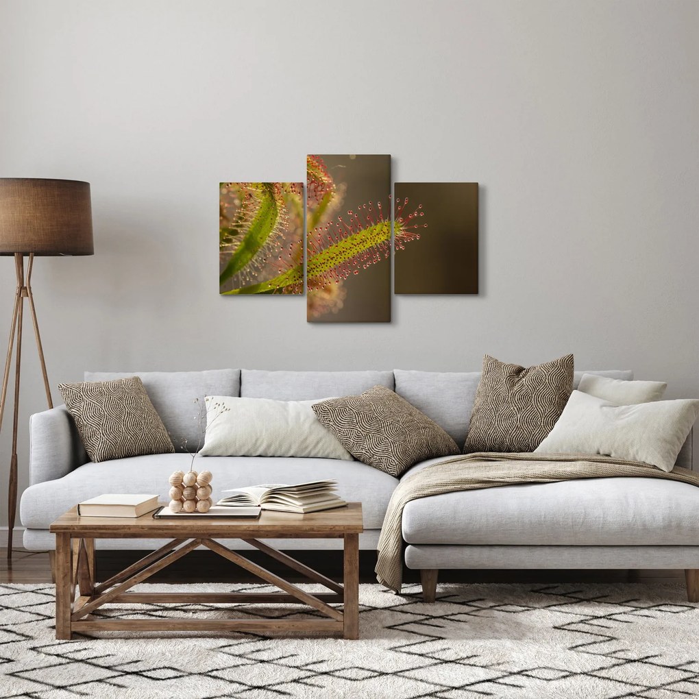 Tablou cu plantă (90x60 cm)