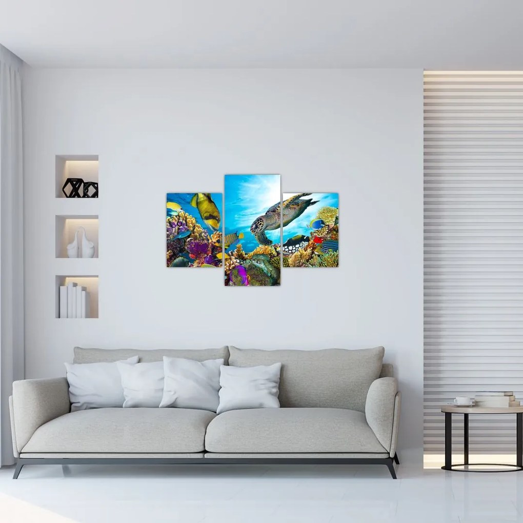 Tablou - Recif de corali (90x60 cm)