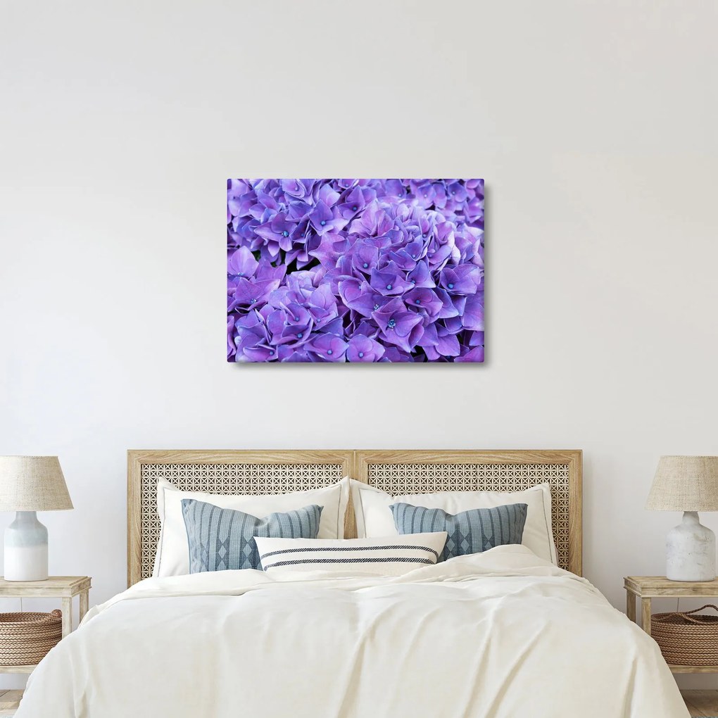 Tablou cu flori violete (70x50 cm)