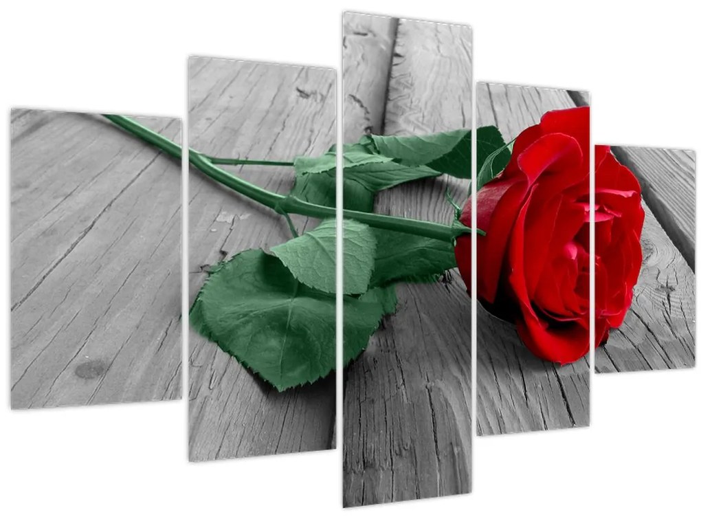 Tablou - Trandafir roșu cu tulpină verde (150x105 cm)