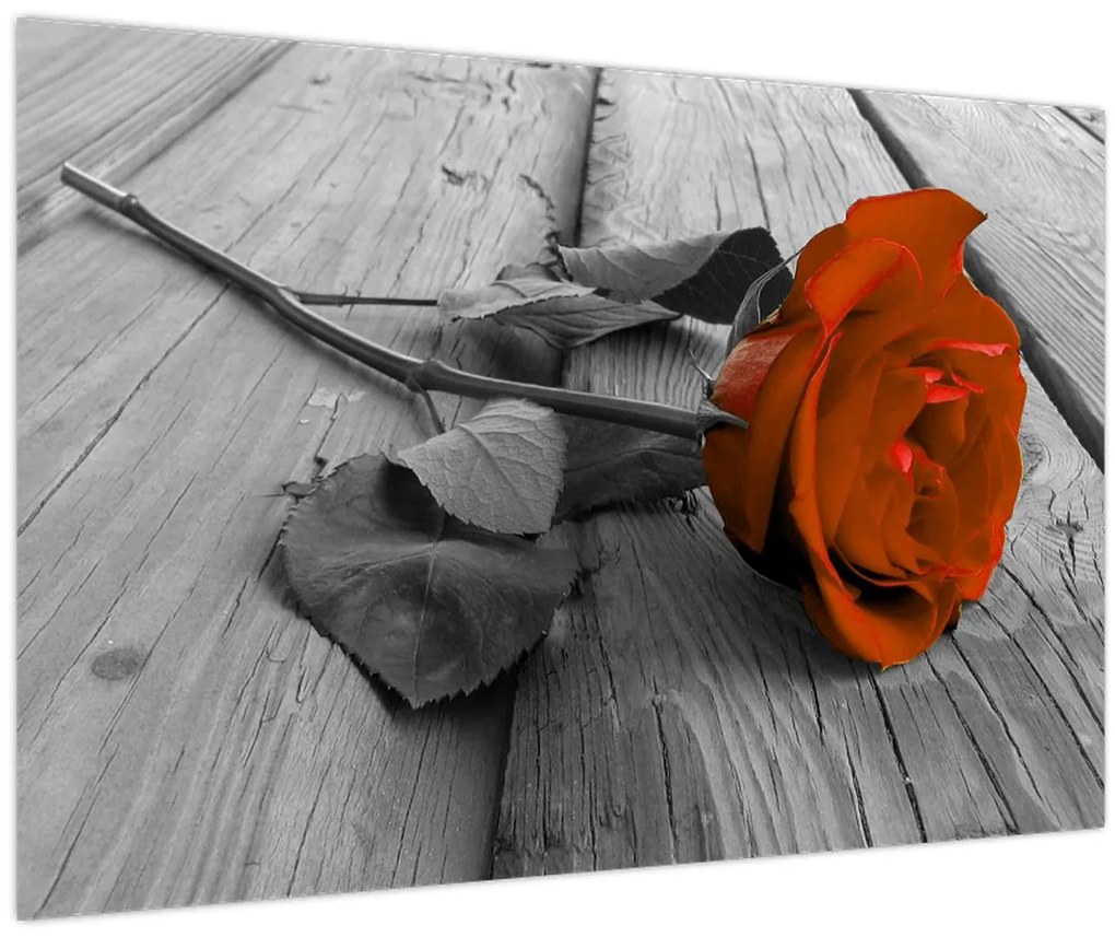 Tablou - Trandafir portocaliu (90x60 cm)