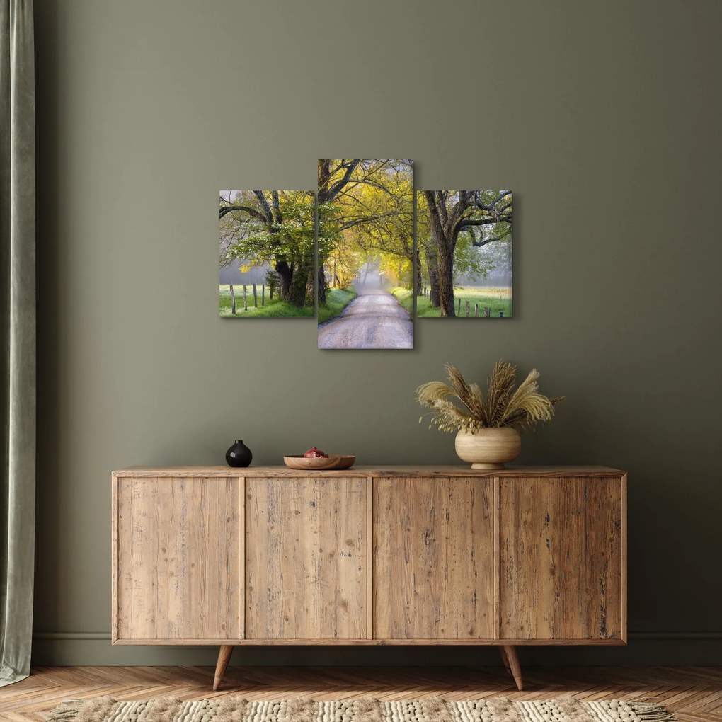 Tablou - Smoky Mountains, Gatlinburg, SUA (90x60 cm)