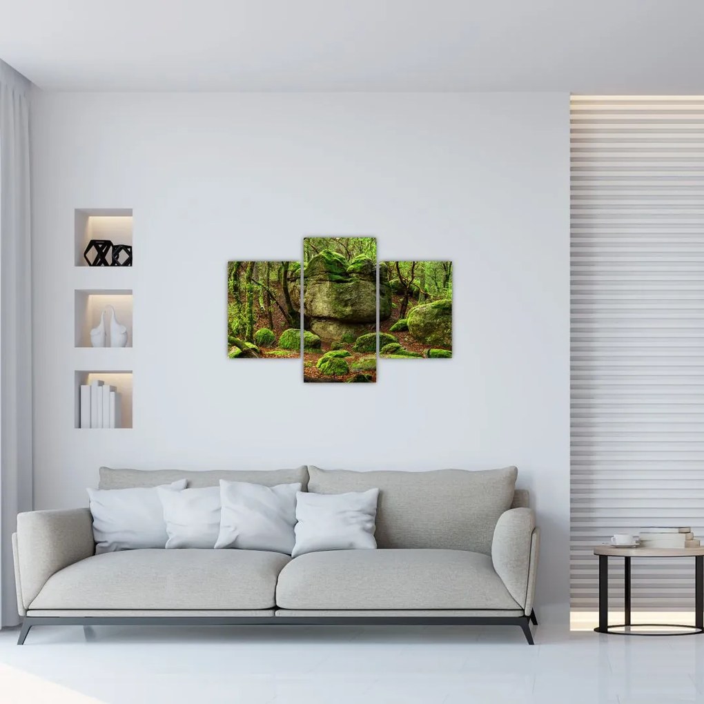 Tablou cu pădurea fermecată (90x60 cm)