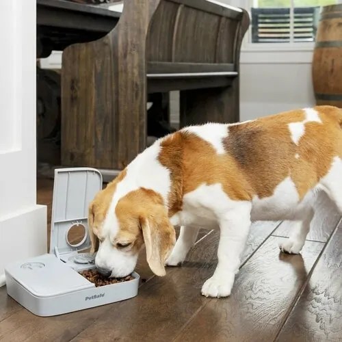 PetSafe® Hrănitoare automată cu 2 mese pentruanimale de companie