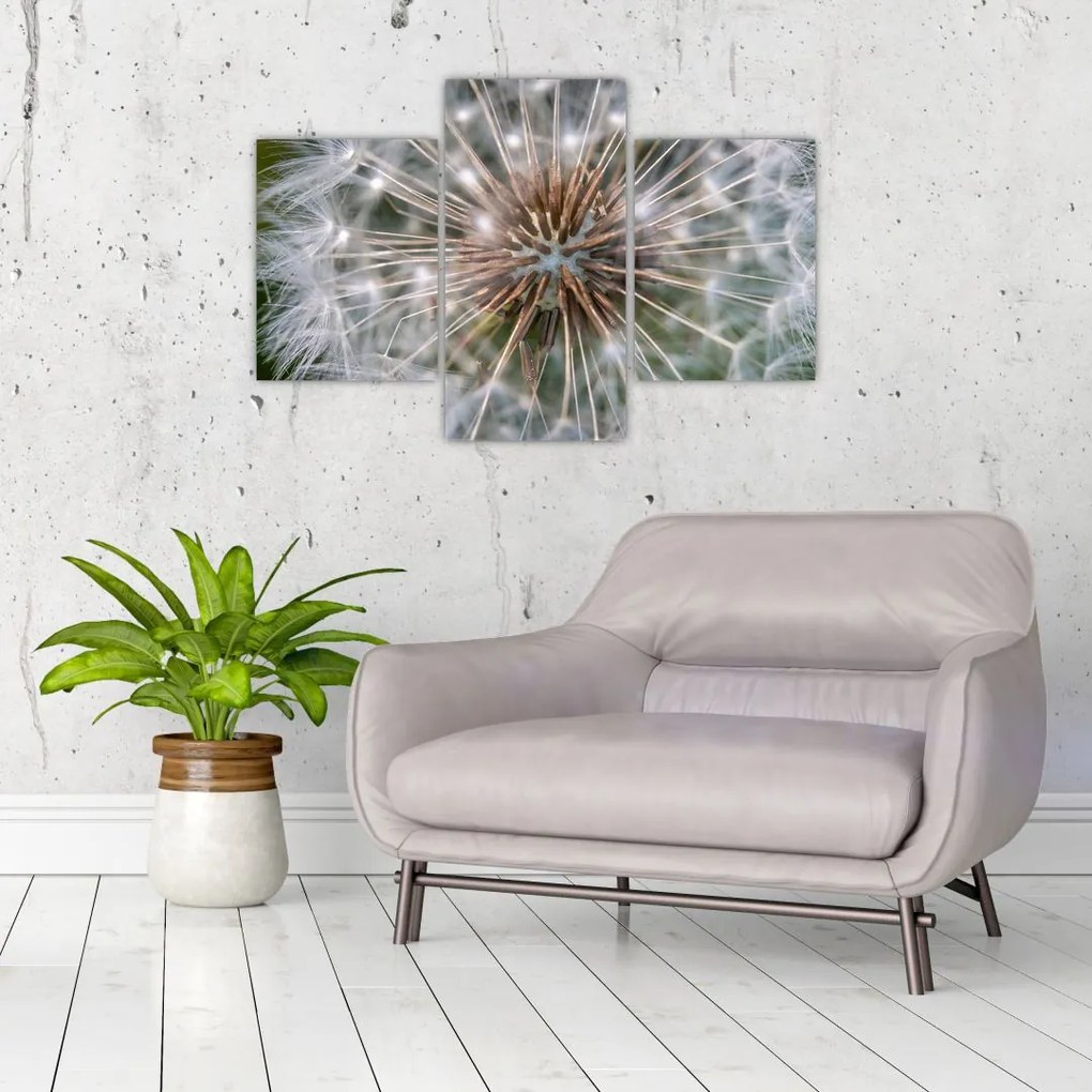 Tablou cu păpădie (90x60 cm)
