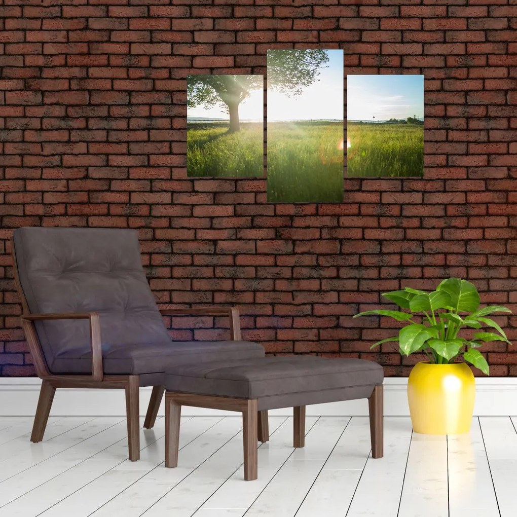 Tablou cu lunca în vară (90x60 cm)