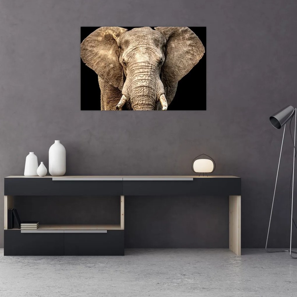 Tablou - Elefant african (90x60 cm)