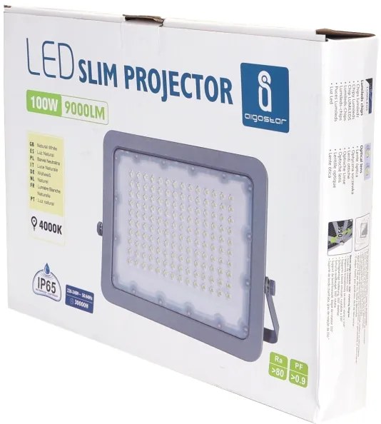 Proiector LED Aigostar LED/100W/230V gri 4000K IP65