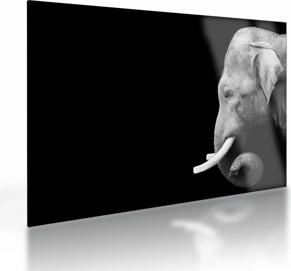 Tablou pe sticlă - Elefant (70x50 cm)