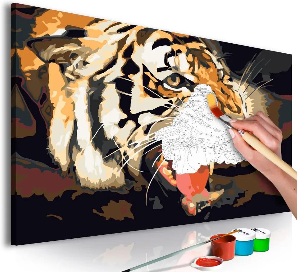 Bimago Pictura pe numere - Tiger Roar