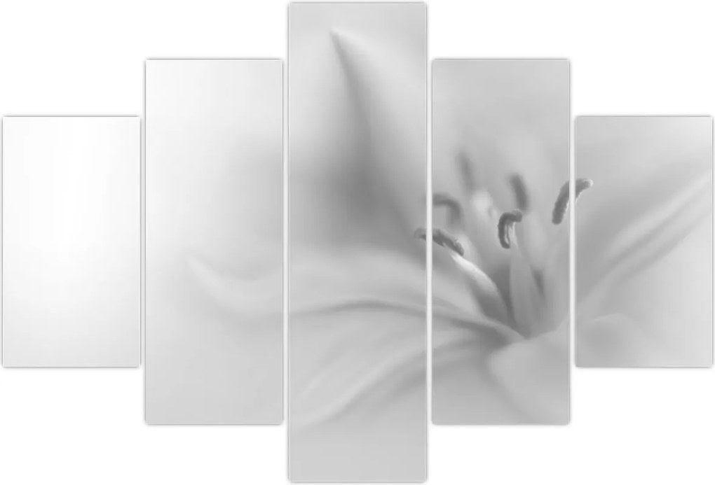 Tablou - Crin delicat (150x105 cm)