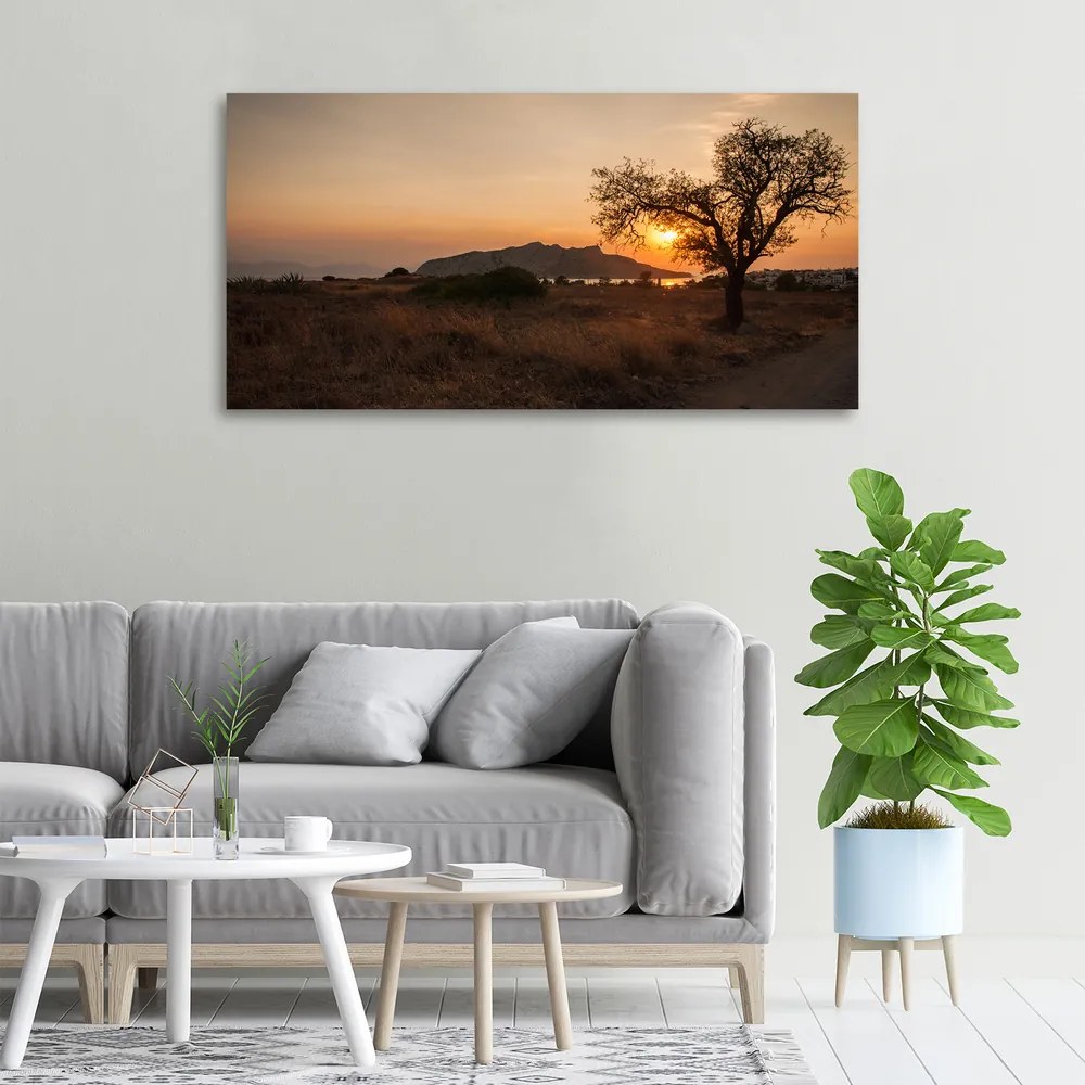 Tablou pe pânză canvas Apus de soare