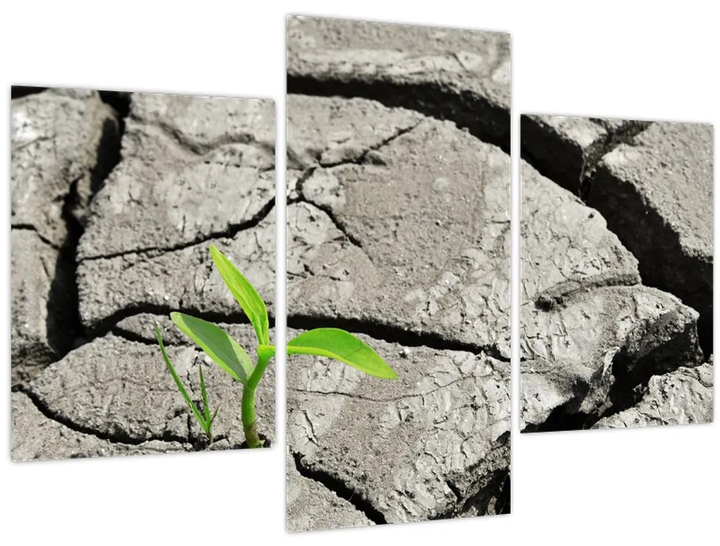 Tablou - Fisuri (90x60 cm)