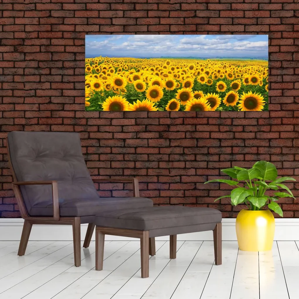 Tablou cu lan de floarea soarelui (120x50 cm)