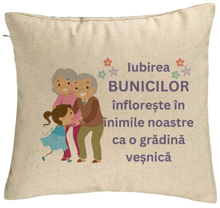 Perna Decorativa pentru Bunici 2, 40x40 cm, Bej, Husa Detasabila, Burduf