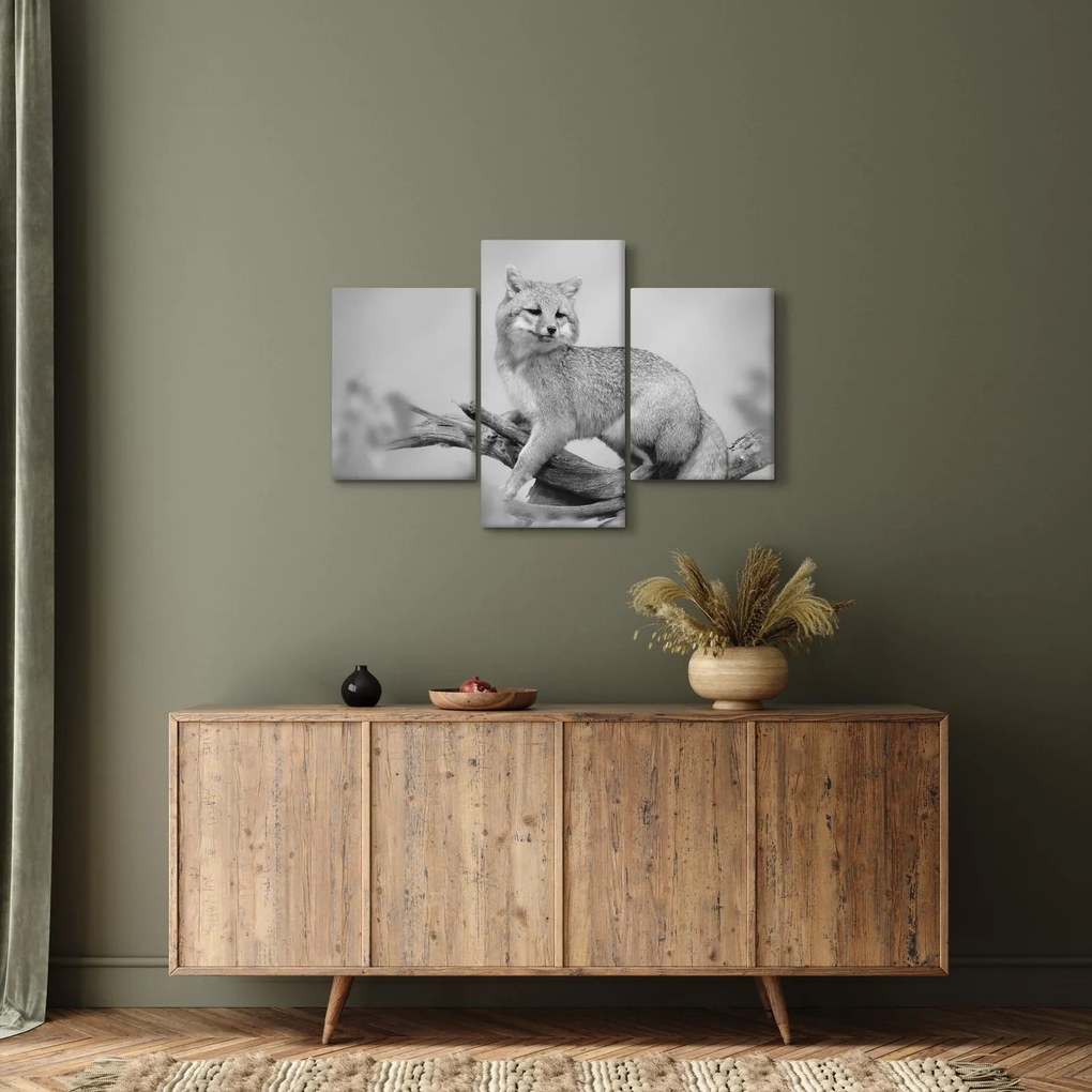 Tablou - Vulpe gri (90x60 cm)