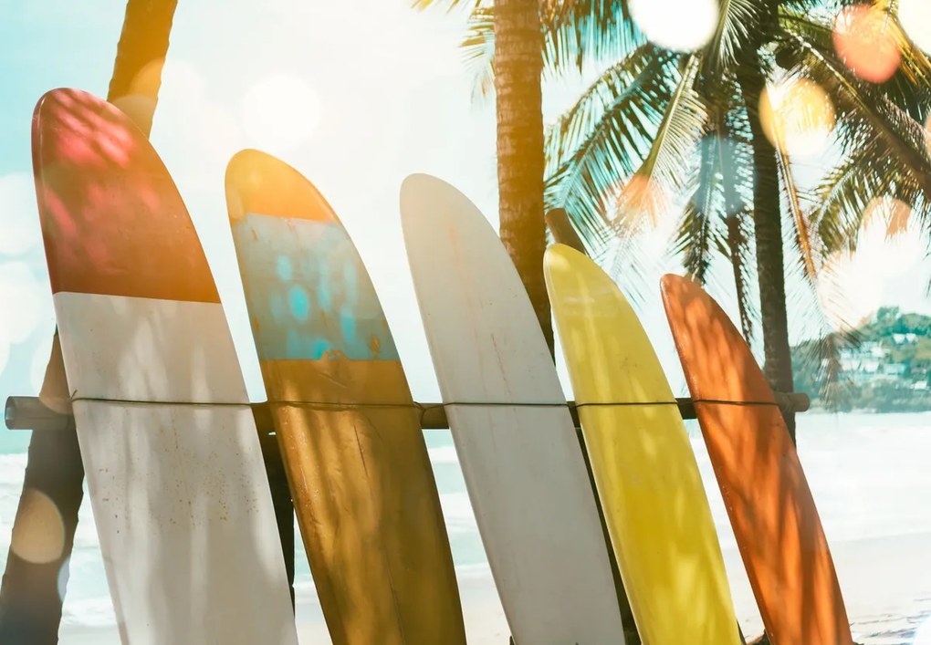 Fototapet - Placă de surf (147x102 cm)