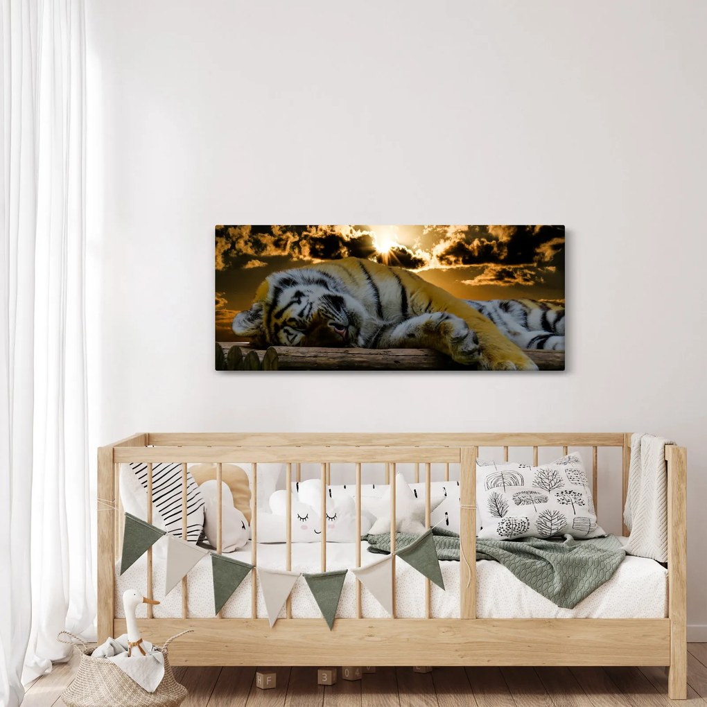 Tablou tigrul dormind (120x50 cm)