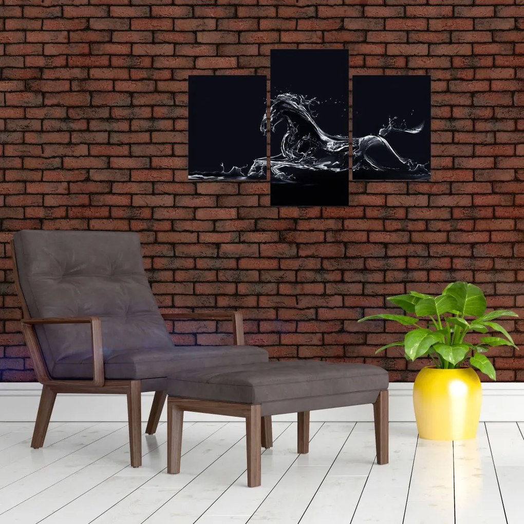 Tablou - Cal și apă (90x60 cm)