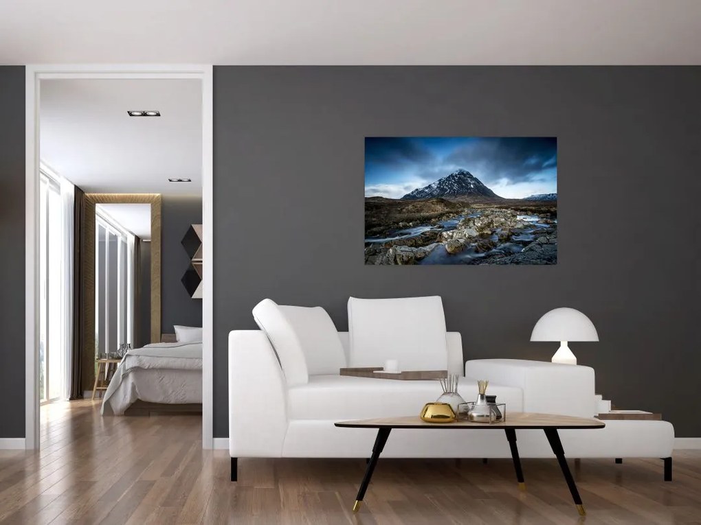 Tablou cu munții și tigrul (90x60 cm)