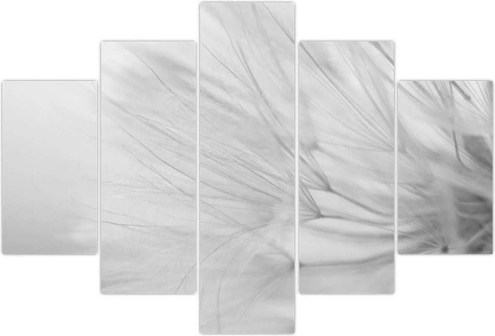 Tablou - Dandelion (150x105 cm)