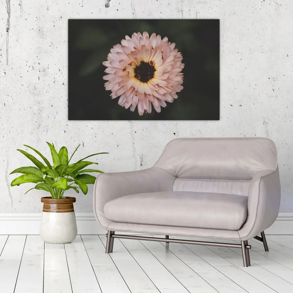 Tablou cu floare portocalie (90x60 cm)