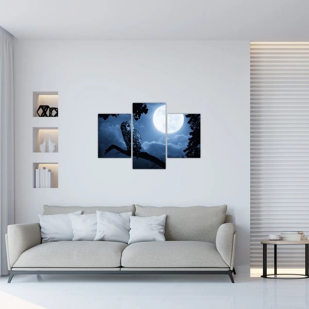 Tablou - Bufnița de noapte (90x60 cm)