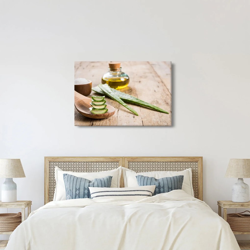 Tablou - Aloe vera (90x60 cm)
