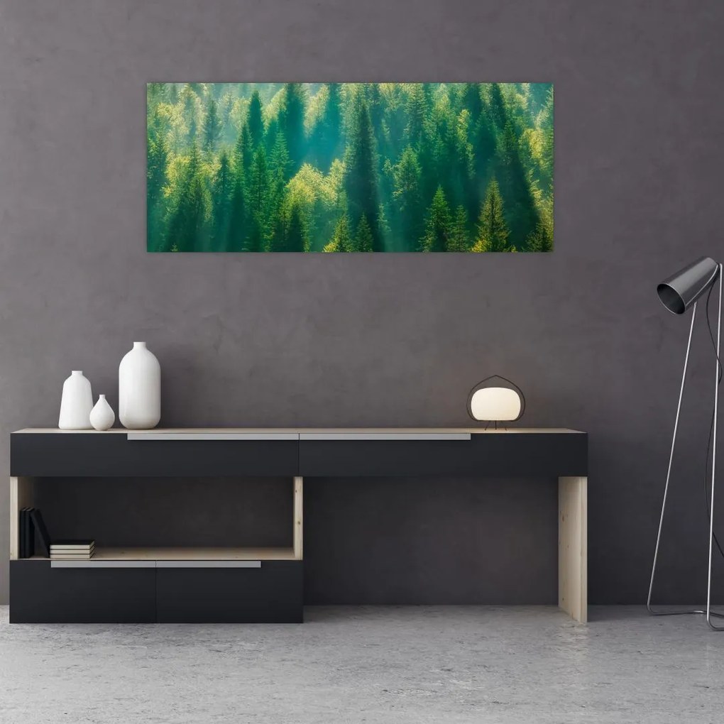 Tablou - Pădurea de brazi (120x50 cm)