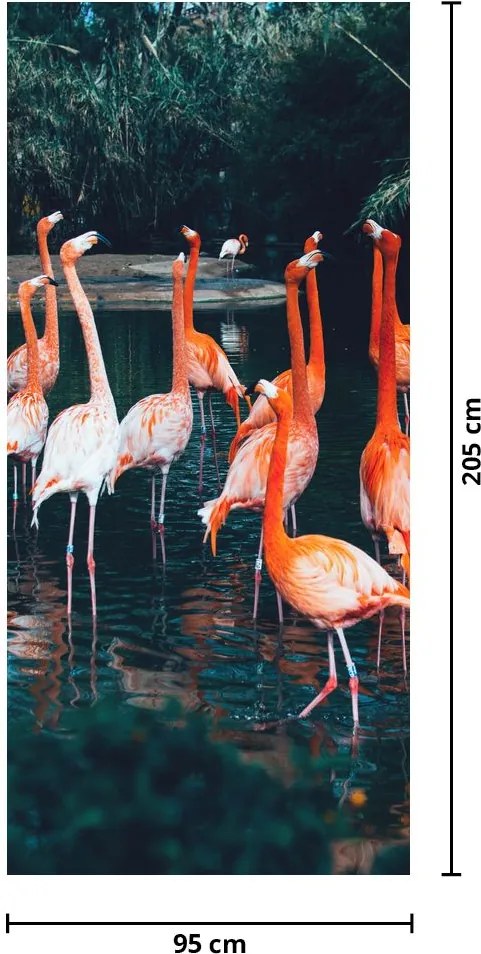 Fototapet pentru ușă - Cârd de flamingo (95x205cm)