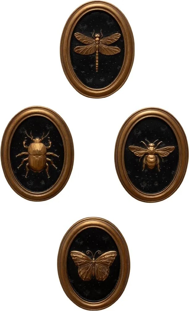 Set 4 tablouri polyrasina cu insecte " Entomology "