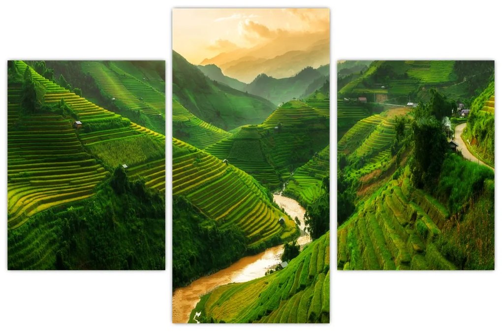 Tablou - Terase de orez Mu Cang Chai (90x60 cm)