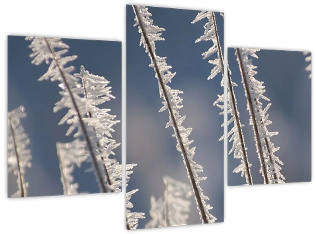 Tablou - Îngheț (90x60 cm)