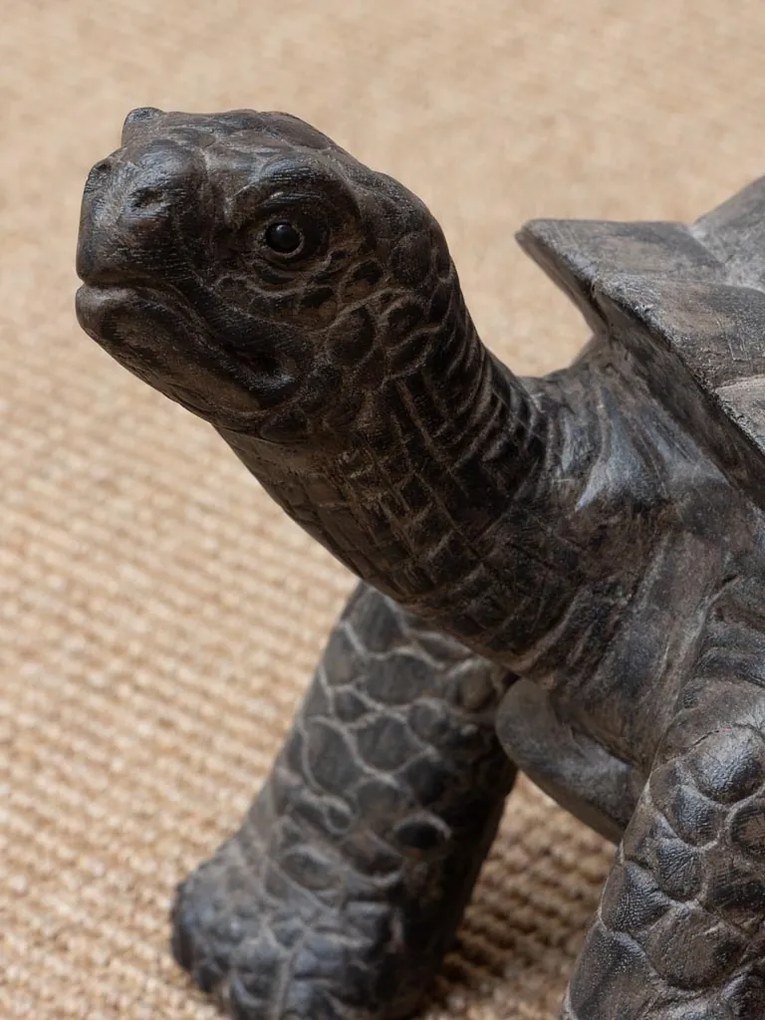 Țestoasă decorativa mica din lemn de tec, "Turtle"