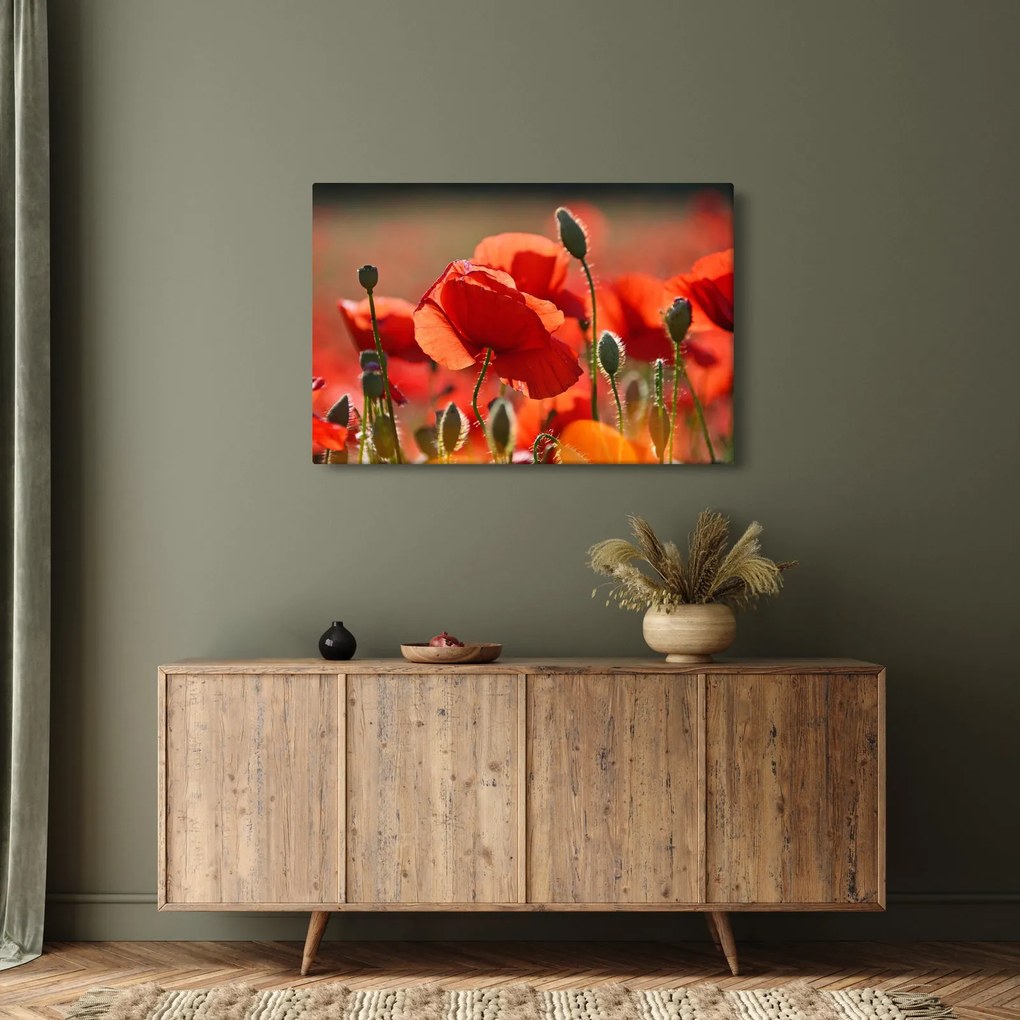 Tablou cu flori de maci (90x60 cm)