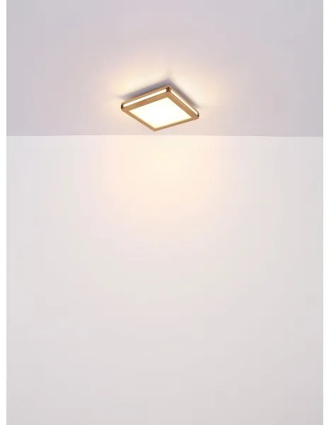 Plafonieră LED CARLA LED/24W/230V 45x45 cm Globo 41589D2