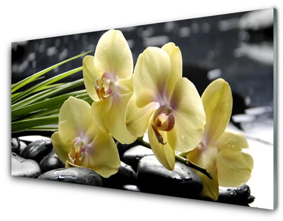 Tablou pe sticla acrilica Flori Floral Galben