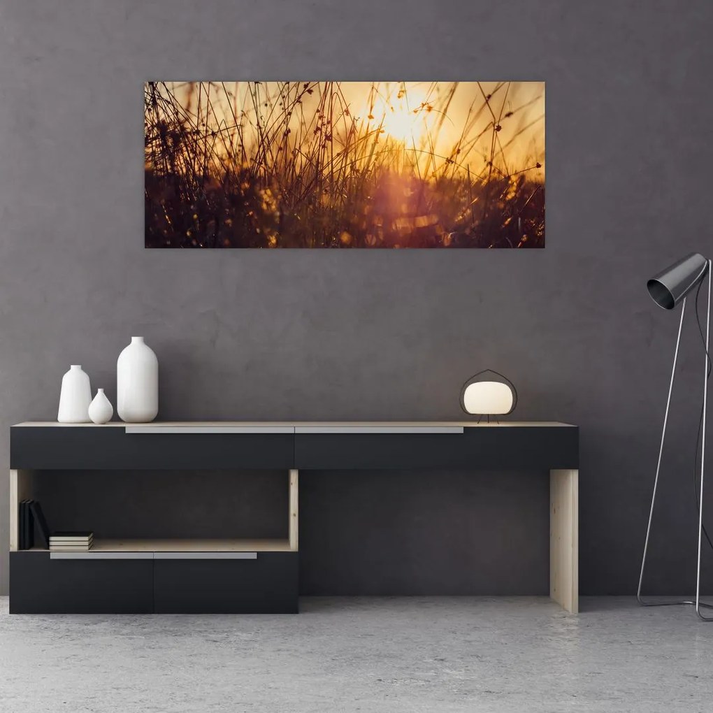 Tablou - Câmp la apus de soare (120x50 cm)