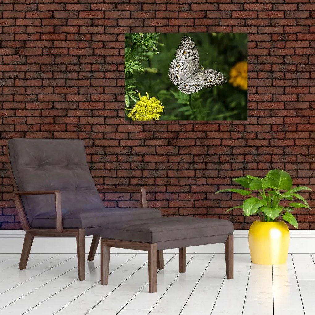 Tablou pe sticlă - fluture alb (70x50 cm)