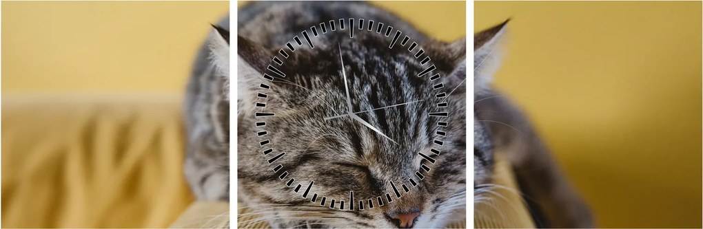 Tablou cu pisica pe fotoliu (cu ceas) (90x30 cm)