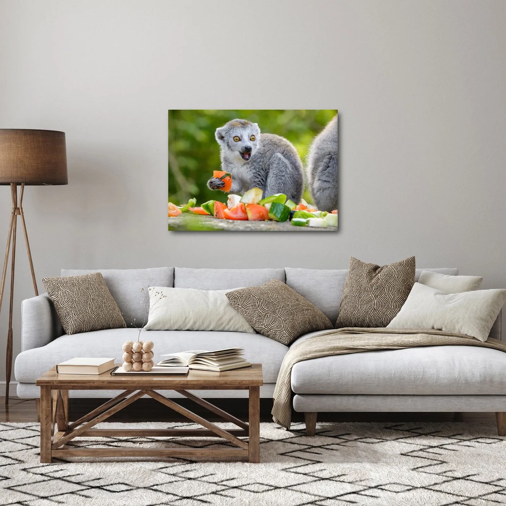 Tablou cu lemur (70x50 cm)