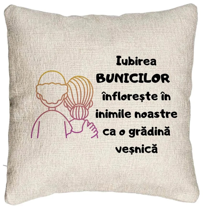 Perna Decorativa Canapea pentru Bunici 10, 40x40 cm, Cu fermoar