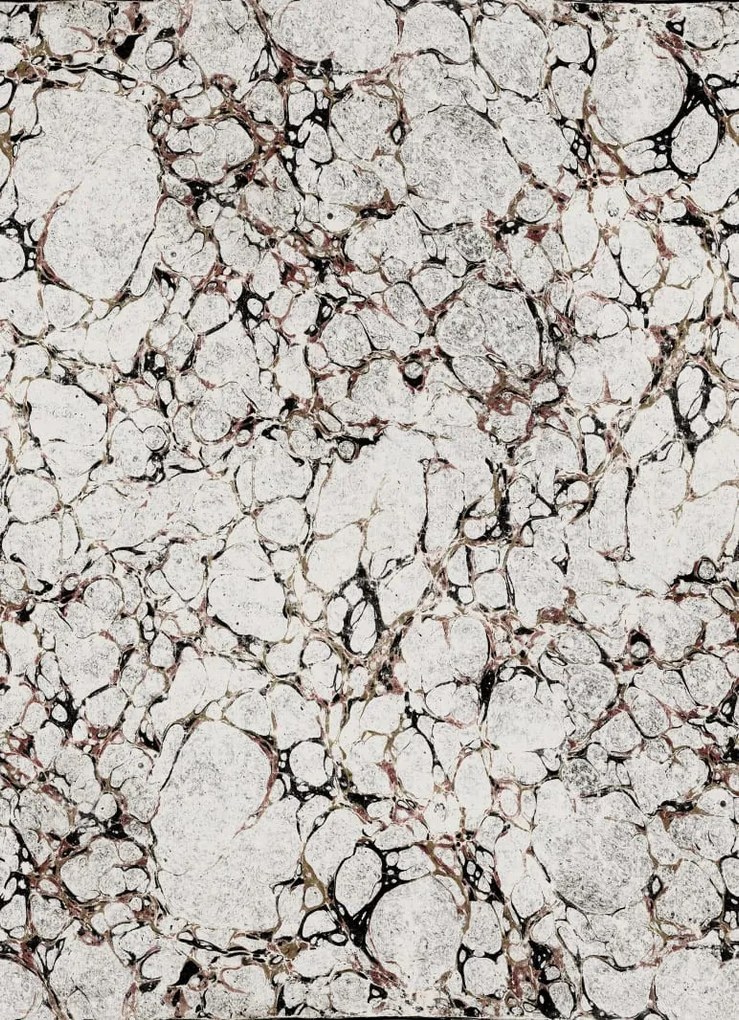 Fototapet, Romberg, Graphite, Rebel Walls