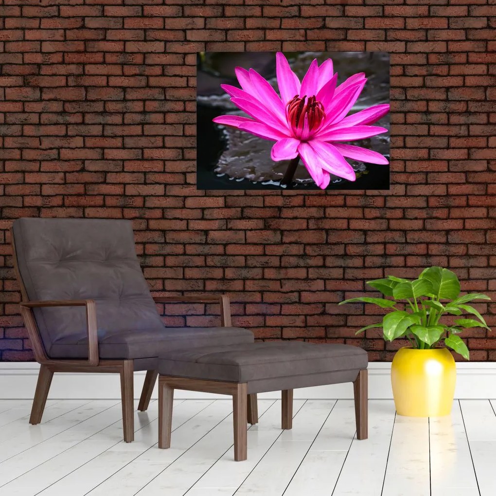 Tablou - floarea roz (70x50 cm)