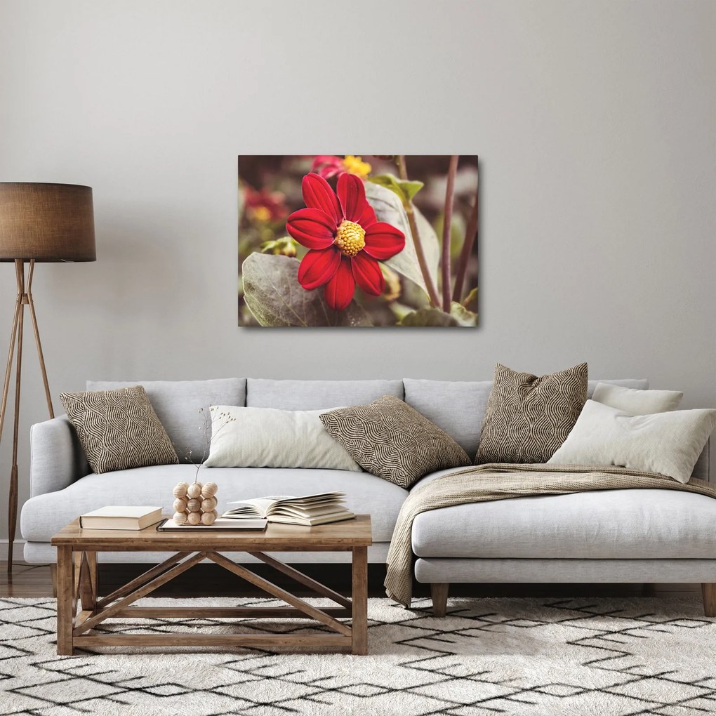 Tablou cu floare (70x50 cm)