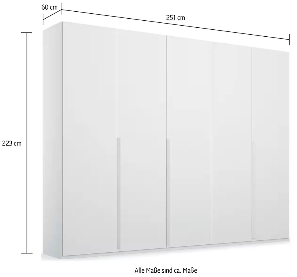 Dulap 250 cm lungime, 5 uși batante, fronturile din sticlă gri antracit, compartimentare premium, 223 cm înălțime