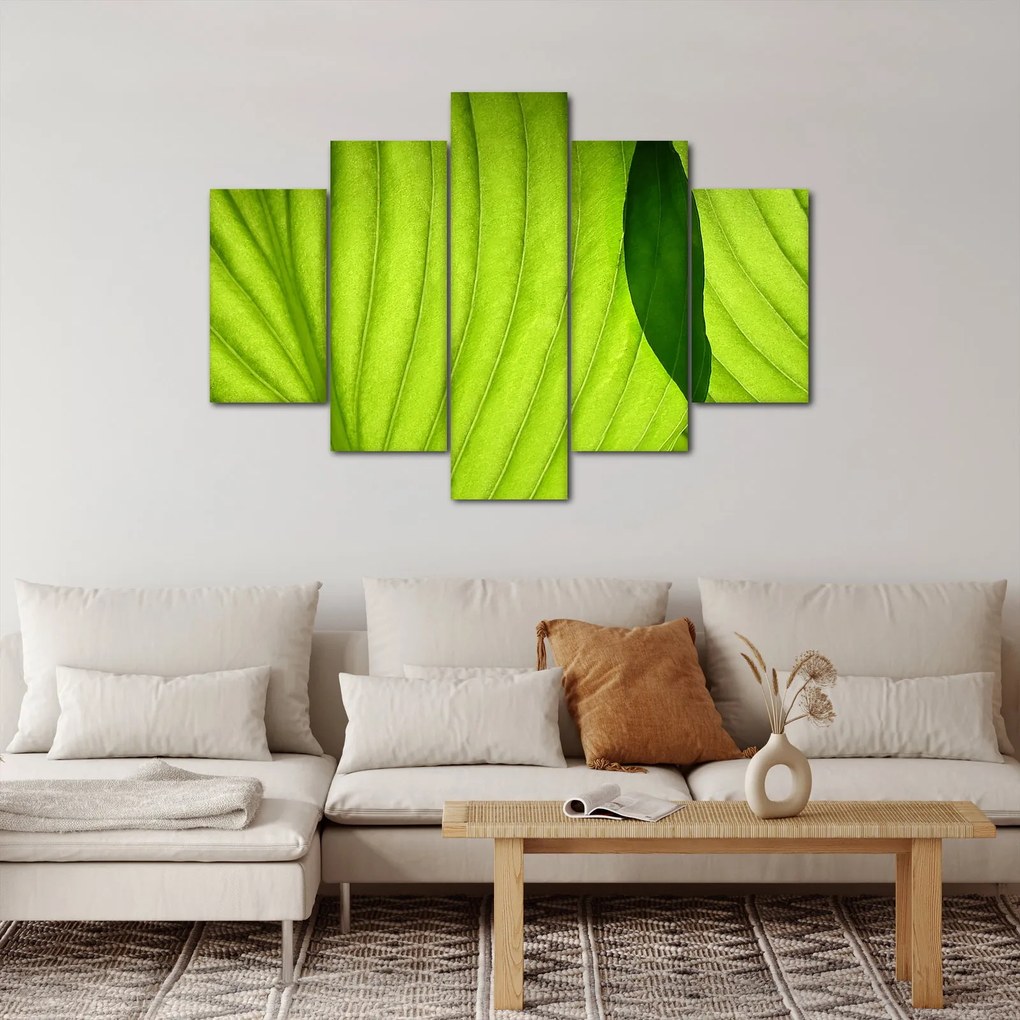Tablou - Detaliu de frunză verde (150x105 cm)